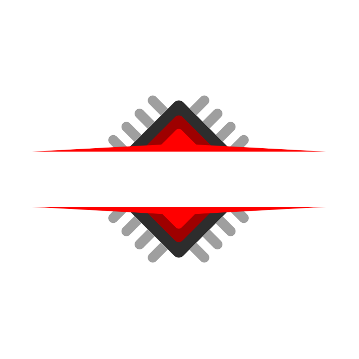 LioLane Electronic's